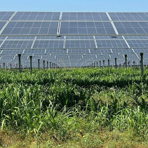 Neoluxia Home Servicios Granjas